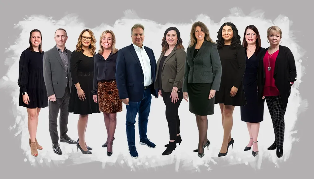 Vista Consulting Team